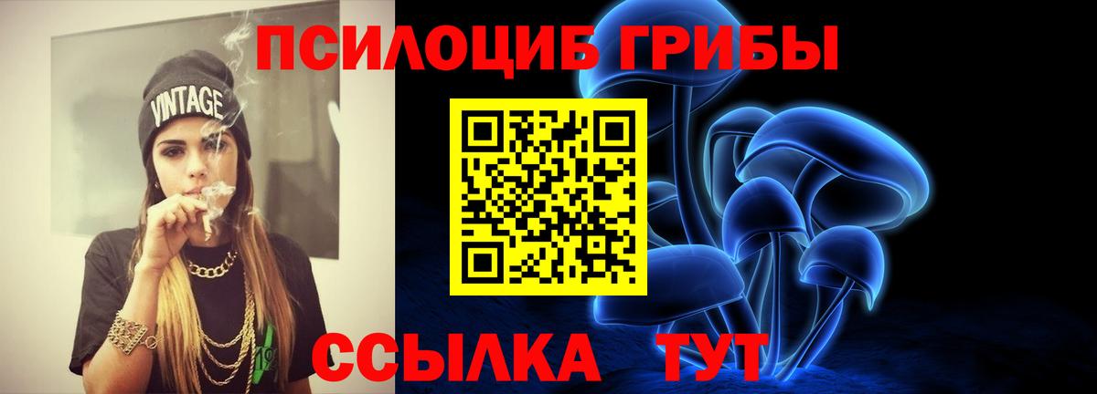 Галлюциногенные грибы Psilocybe Тосно